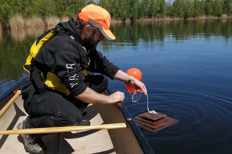 Espèces aquatiques envahissantes : l’Estrie se dote d’une stratégie régionale de prévention